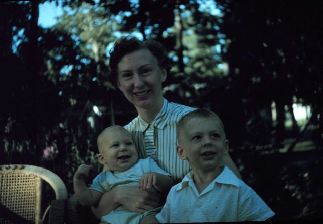 Photograph